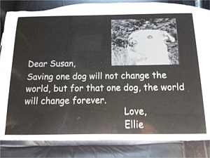 Thin Brass Plate with Photo Art